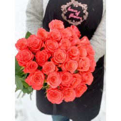 Амстердам (50 см)