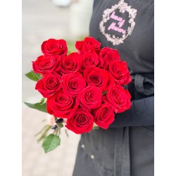 Фридом (50см)